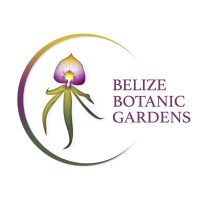 Belize Bank Botantical